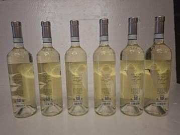 2022 Ceretto Blange Langhe Arneis - Piëmont - 6 Flessen