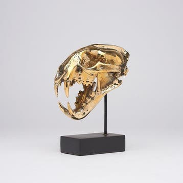 Sculpture, NO RESERVE PRICE - Polished bronze Snow Leopard -