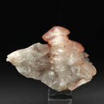 Glanzende calcietboom met rode hematiet en fantoom