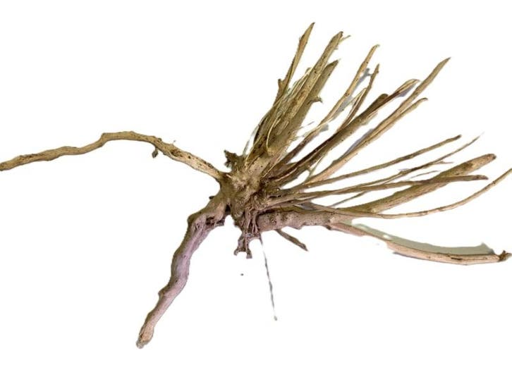 Driftwood Selected DW36 - 30x20x20cm (Small drift wood), Animaux & Accessoires, Poissons | Aquariums & Accessoires, Enlèvement ou Envoi