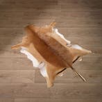 Impala Huid Taxidermie Opgezette Dieren By Max, Ophalen of Verzenden, Nieuw, Wild dier, Opgezet dier