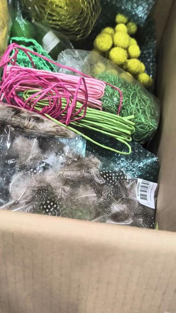 Restantenbox voorjaar eieren, vogels, veren, gaas,, Nieuw