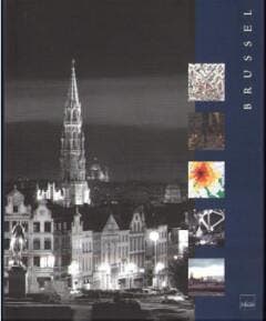 Brussel / Steden in Europa / 1 9789061534495, Boeken, Kunst en Cultuur | Beeldend, Zo goed als nieuw, Verzenden