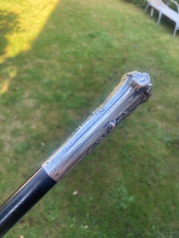 Delheid Frères Wandelstok - .800 zilver, Ebbenhout - Antieke, Antiek en Kunst