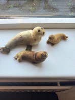 zeehond Taxidermie volledige montage - Pagophilus, Antiek en Kunst