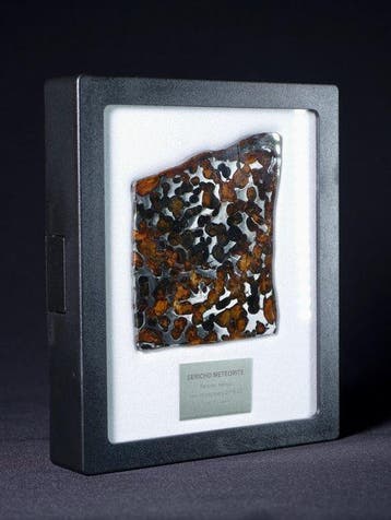 Sericho meteoriet Pallasiet - Hoogte: 6.5 cm - Breedte: 7.7