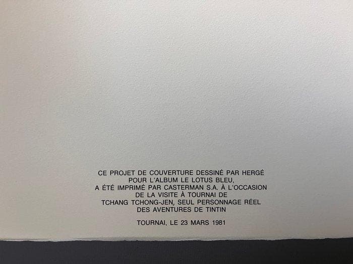Hergé - 1 Serigrafie Casterman - Tintin - Projet de, Livres, BD