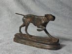 Pierre Chenet (XX-XXI) - sculptuur, Chien de chasse a