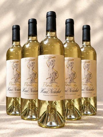 2019 Château Haut Nouchet - Pessac-Léognan, Graves, Bordeaux, Nieuw