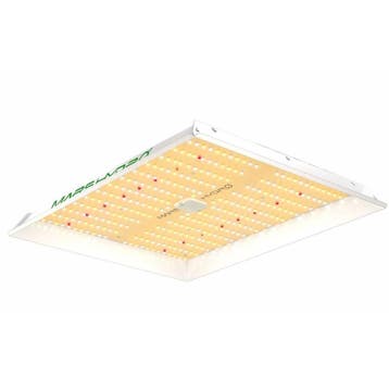 Mars Hydro TS-1000 LED Kweeklamp, Jardin & Terrasse, Produits de culture, Verzenden