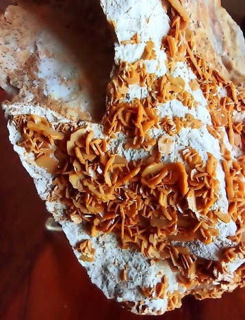 830 g!! Prachtige wulfenietkristallen geel-oranje, op zijn