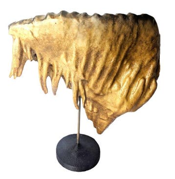 Museumkwaliteit replica - Fossiele tand - Columbian Mammoth, Verzamelen