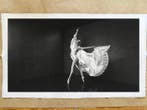 Viktoria Farkas - Wings of Light - Premium Canvas - XXL, Antiek en Kunst