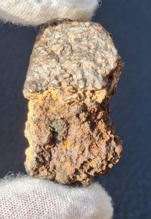 Koolstofrijke chondriet (CR2 door water aangetast) - Erg, Verzamelen, Mineralen en Fossielen