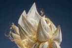 Yamila - Goku Super Saiyajin: La Resiliencia del Guerrero, Nieuw