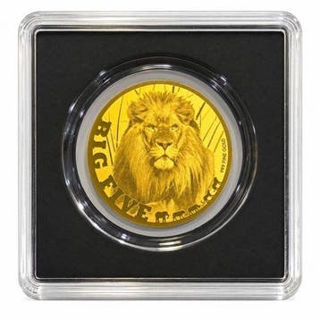 Tsjaad. 5000 Francs 1/200 oz 999 Fine Gold 5000 CFA Francs