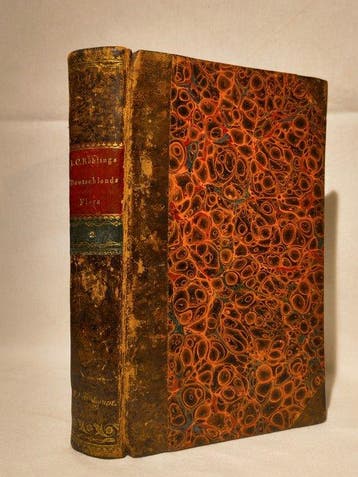 J. C. Röhling - Deutschlands Flora - 1826