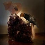 Uitgesneden vogels XL op een donkere amethist cluster