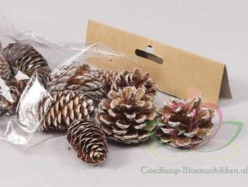 Dennenappel Ray Cones White Wash 100 gram kleinverpakking, Hobby en Vrije tijd, Nieuw