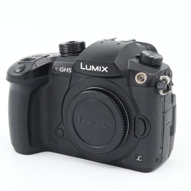 Panasonic Lumix DMC-GH5 boîtier | Occasion, Audio, Tv en Foto, Fotocamera's Digitaal, Ophalen of Verzenden