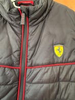 Ferrari - Gilet, Nieuw