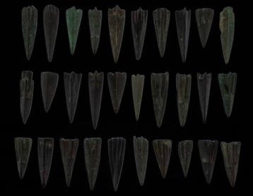 Scythisch Brons Verzameling pijlpunten - 30 stuks. Goede
