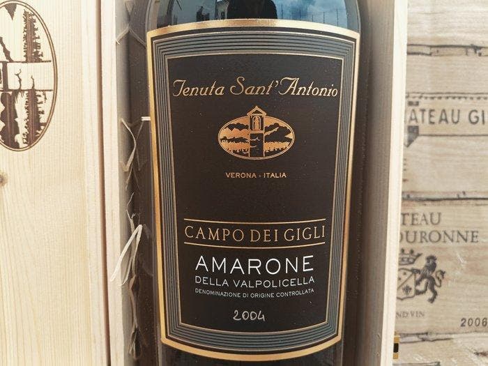 2004 Tenuta SantAntonio Campo dei Gigli - Amarone della, Collections, Vins