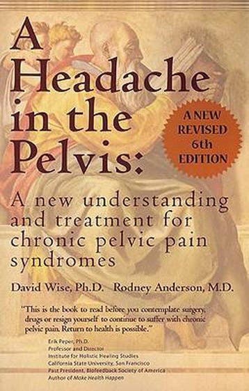 Headache in the Pelvis 9780972775557 David Wise, Verzenden, Zo goed als nieuw, David Wise
