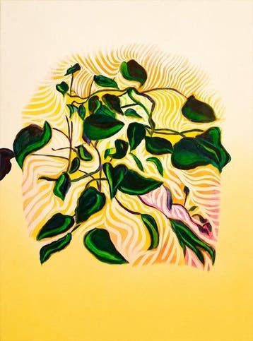 Olga Vin - Botanical Energy, XXL