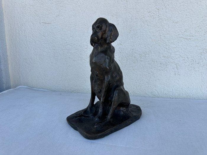 Paolo Troubetzkoy - sculptuur, Cane seduto - 22.5 cm - Brons, Antiek en Kunst, Antiek | Meubels | Stoelen en Sofa's