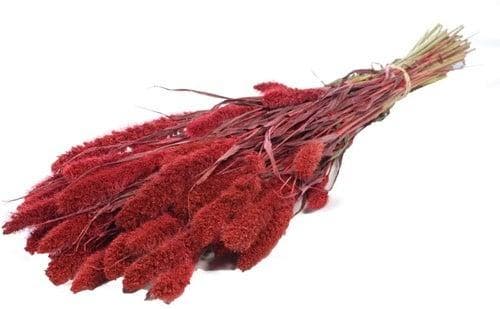Setaria Trosgierst Rood Bundel, Maison & Meubles, Accessoires pour la Maison | Plantes & Fleurs artificielles