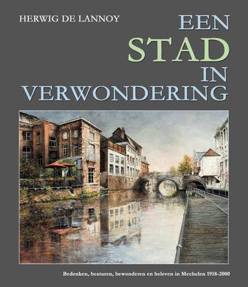 Een Stad In Verwondering | Herwig Lannoy | Nieuw, Verzenden, Nieuw, Herwig Lannoy