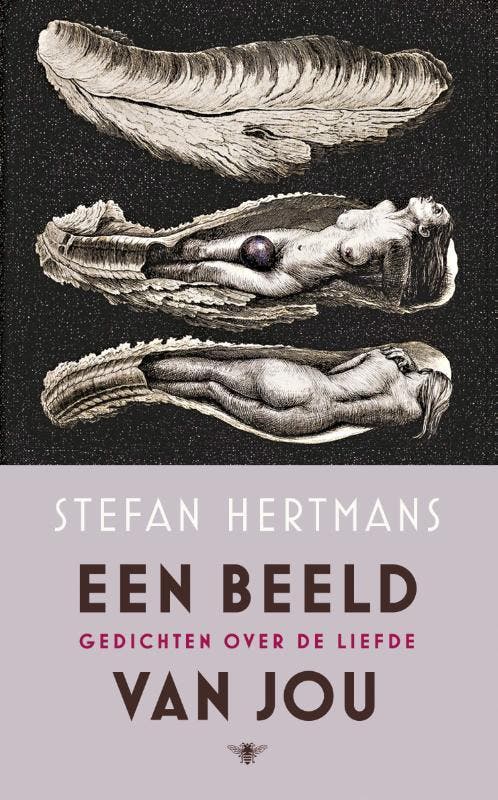 Een beeld van jou 9789023497370 Stefan Hertmans, Livres, Poèmes & Poésie, Envoi