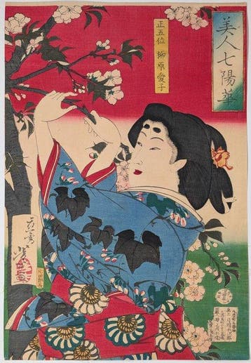 Yoshitoshi -- Yanagiwara Naruko -- Schoonheden en de Zeven
