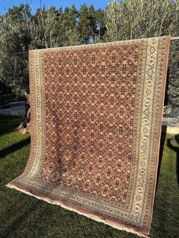 tapis Indo-Bidjar - Tapis - 260 cm - 200 cm