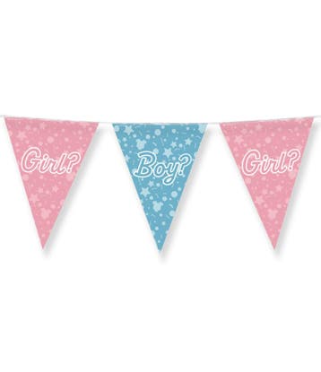 Gender Reveal Slinger Boy Or Girl 10m, Verzenden
