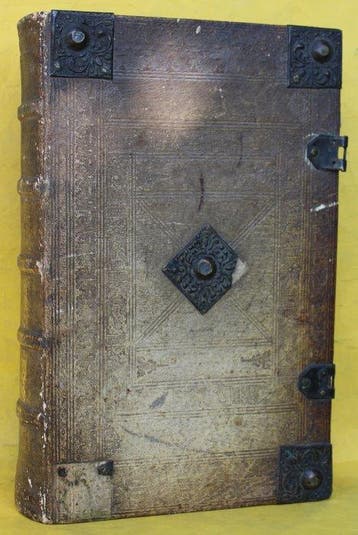 Biblia Germanica - Die Bibel Das ist: Alle Bücher der ganzen