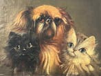 A. Hostkam (XX) - Tiere