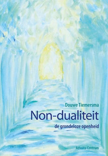 Non-dualiteit 9789077194065 Douwe Tiemersma, Verzenden, Zo goed als nieuw, Douwe Tiemersma