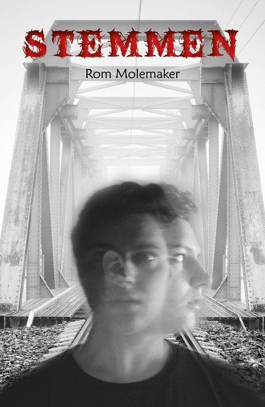Stemmen 9789493275881 Rom Molemaker, Boeken, Kinderboeken | Jeugd | 13 jaar en ouder, Zo goed als nieuw, Verzenden