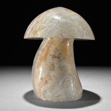 Sans prix de réserve - Sculpture de champignon en agate