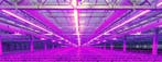 50 meter /  550W LED power groeistrip assimilatie en stuurli, Verzenden, Nieuw