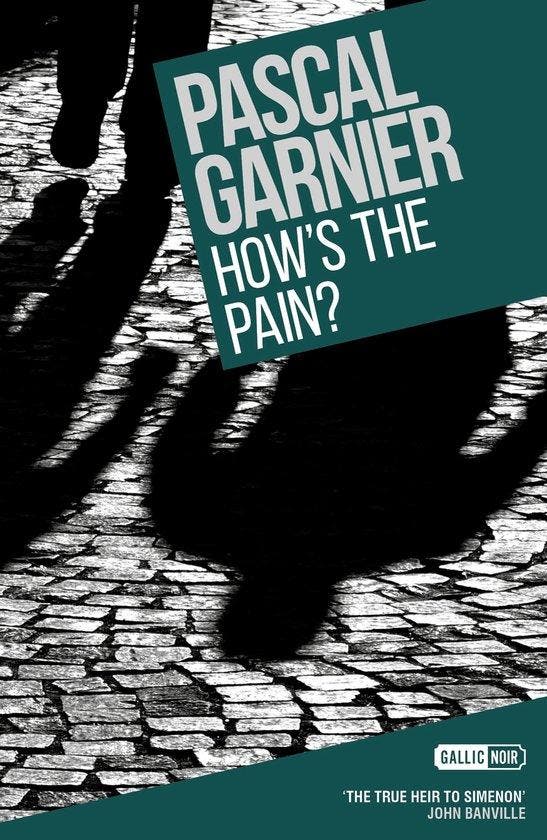 Hows the Pain? 9781908313034 Pascal Garnier, Boeken, Taal | Engels, Zo goed als nieuw, Verzenden