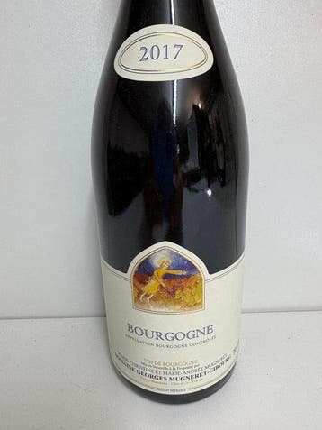 2017 Domaine Mugneret Gibourg - xx - 1 Flessen (0.75 liter)