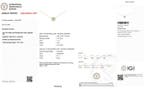 Zonder minimumprijs - Ketting met hanger - 14 karaat Geel