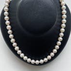 Halsketting Zilver Parel - PSLAkoya6.5-7.0mm, Nieuw