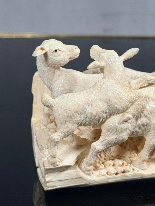 Gefossiliseerde slagtand - Mammoth Ivory - 8 cm - 15 cm, Collections, Collections Animaux