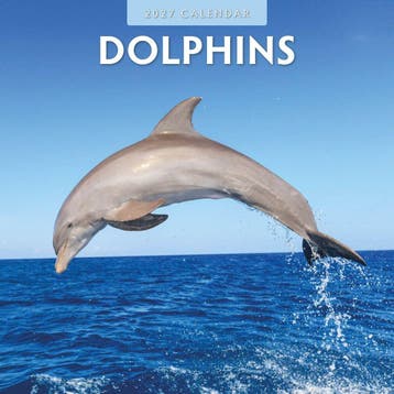 Red Robin Wall Kalender 2027 - Dolphins, Ophalen of Verzenden, Nieuw in verpakking