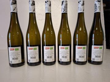 2022 Eymann - Riesling - Pfalz - 6 Flessen (0.75 liter)