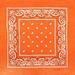 Haarband Bandana Zakdoek 55cm – Paisley Print – Oranje, Nieuw